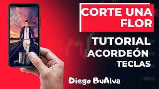 Corte una Flor - tutorial acordeón teclas (Calibre 50) #tutorial #acordeon #calibre50