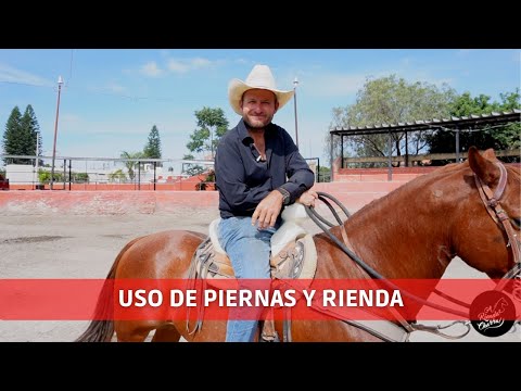 Uso de Rienda y Piernas al montar - A Rienda Charra!