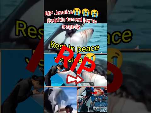 Jessica and  his dolphin 😭😭.    #jessica #jecika #jessikadplphin