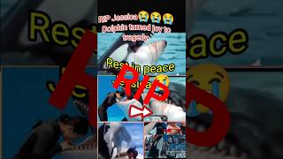 Download lagu Jessica and  his dolphin 😭😭.    #jessica #jecika #jessikadplphin mp3