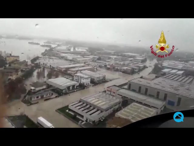 youtube video id=sye-BrNLuGs