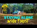 I Stayed ALONE In Sultan Forest Rest House Jim Corbett 4K Video