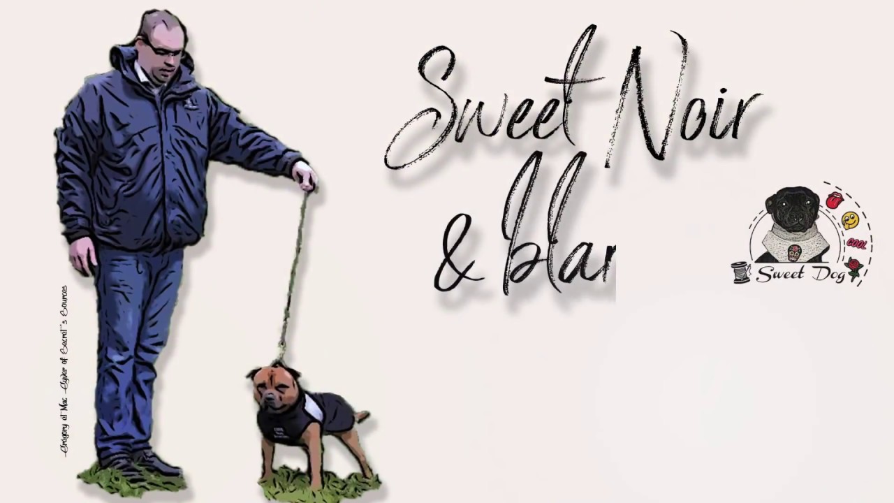 Sweet Dog - Sweat Noir & blanc