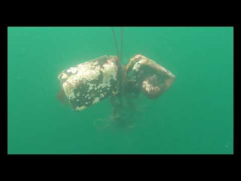 Mandal dykkeklubb & Vollen Dykkeklubb rydder Oslofjorden