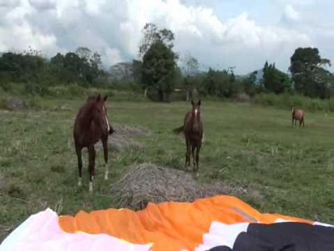 VicBoy Nirgua 7-1-11