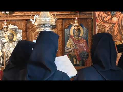 20190325 NICOLAE BALASOIU – BUNA VESTIRE