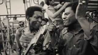 Junior Wells + Black Sabbath = Sweet Leaf Hound Dog