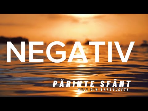 PĂRINTE SFÂNT - NEGATIV  ( Mili din Barbulești )