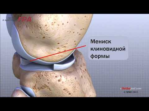 Обычный магнит для лечения суставов Болят плечевые суставы после родов