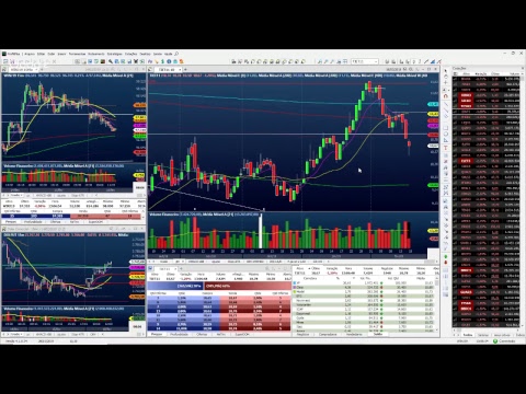 Palinha do Palex - 18 de Fevereiro de 2019