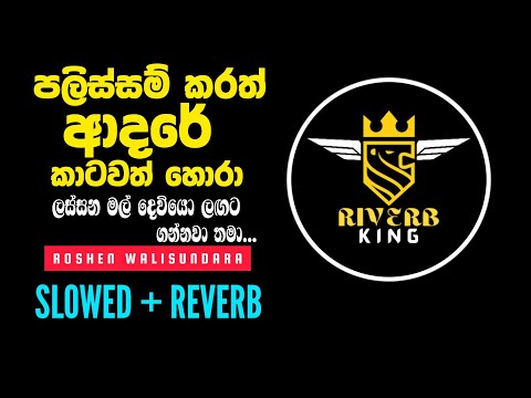 පලිස්සම් කලත් ආදරෙ කාටවත් හොරා |palissam kalath adare kaatawath hora ( SLOWED + REVERB )