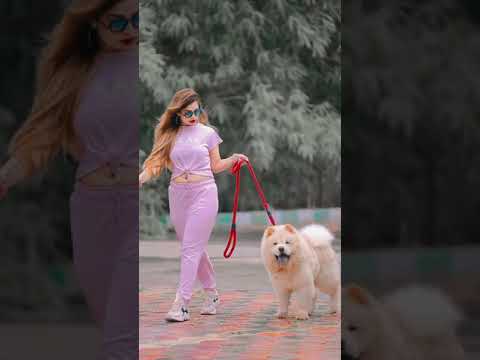 tinne o seen Tito da jinesh