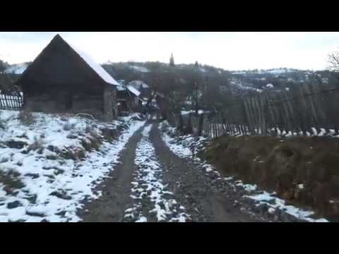 Bunila Decembrie 2019