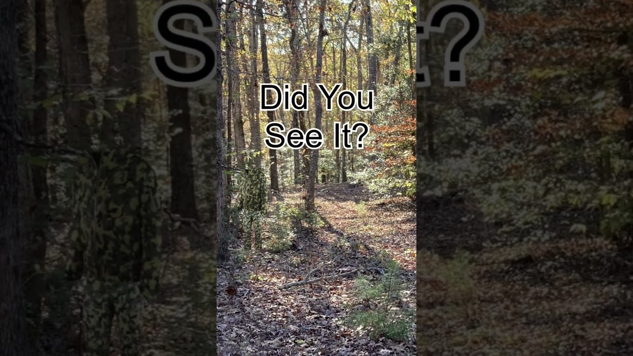 What camo pattern is that!?