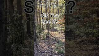 What camo pattern is that!?
