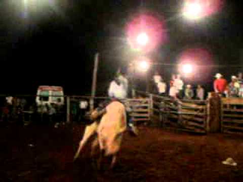 Touro Comentário da Cia JN Melhor Touro da 3ª Etapa do CIMT/GOLD TEAM