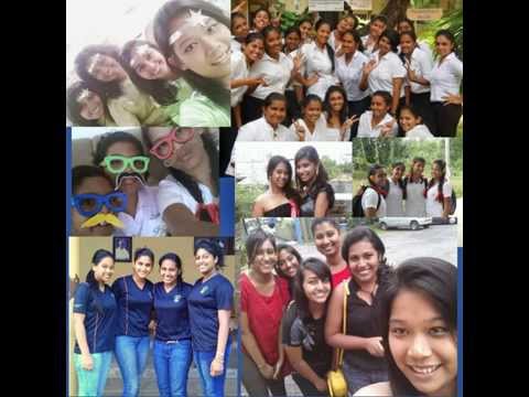 Happy Birthday Mei Li!!