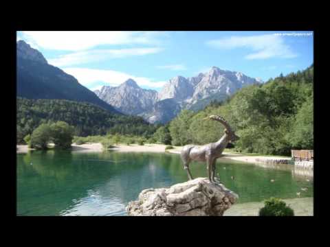 BLOŠKI ODMEV   -   SLOVENIJA