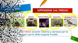 GLI ANIMALI SI DIFENDONO