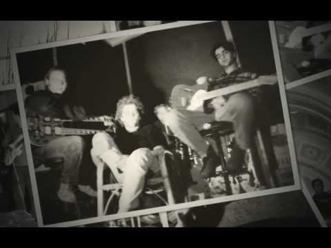 Gatti Distratti dalla Luce negli Occhi - GUARDA A TERRA