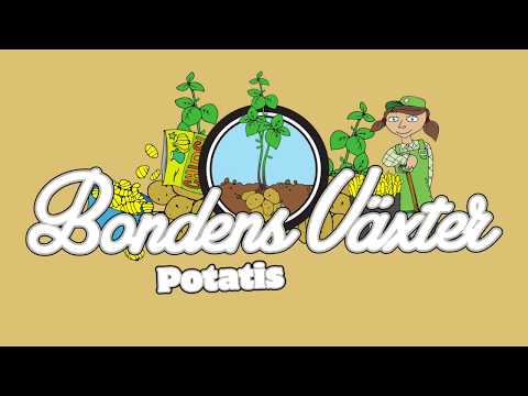 Bondens växter: Potatis