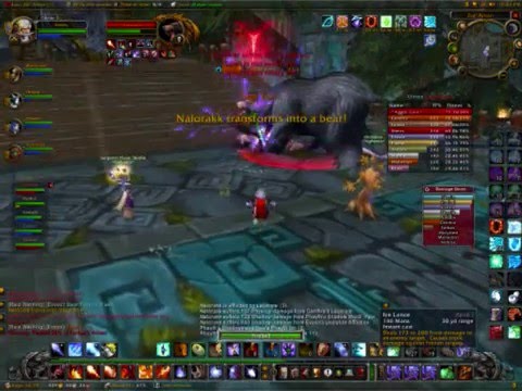 Vigilance Downs Nalorakk in Zul'Aman