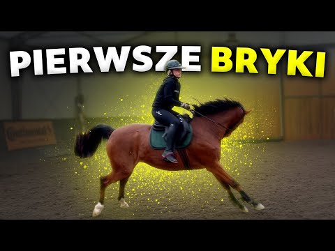TRENING NA LOVCE i DILI | Spadłam? | UNBOXING PACZEK Z WYPRZEDAŻY 