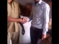 Jaat