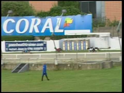 2017 CORAL SUSSEX CUP - 3RD SEMI - T2 BARRICANE TIGER