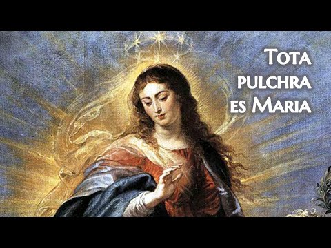 Tota Pulchra es Maria - Veni de Líbano
