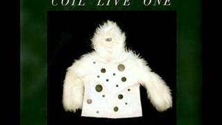 Coil || Circulating  ( Live One )