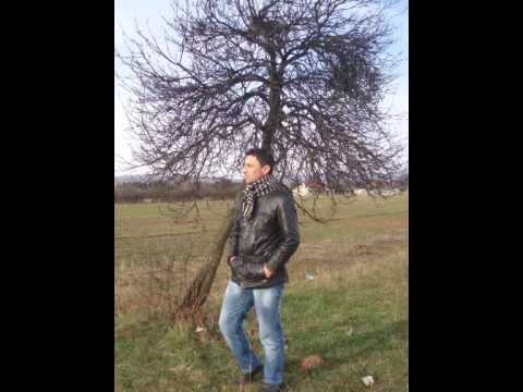 Vahid Vaha -Pricaj druze (Live 2014)