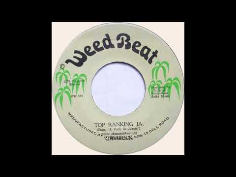 grubrick   top ranking + version