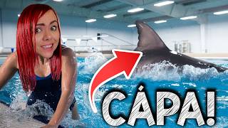EGY CÁPA VAN A MEDENCÉBEN! 🦈 - Sharks and Minnows