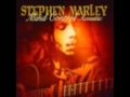 Stephen Marley - Chase dem