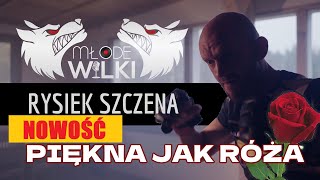 Kadr z teledysku Piękna jak róża tekst piosenki Młode wilki feat. Rysiek Szczena
