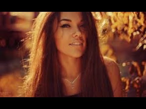 Alok, The Chainsmokers & Mae Stephens – Jungle (Official Lyric Video)