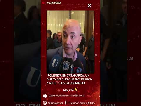 POLÉMICA EN CATAMARCA: UN DIPUTADO DIJO QUE GOLPEARON A MILEI Y LLA LO DESMINTIÓ