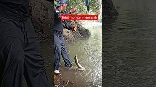 Download lagu Monster Eel Landed in My Hands mp3 Download lagu Monster Eel Landed in My Hands mp3