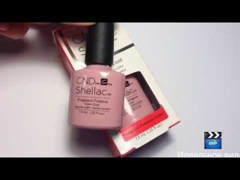 download lagu mp3 mp4 Cnd Shellac Fragrant Freesia, download lagu Cnd Shellac Fragrant Freesia gratis, unduh video klip Cnd Shellac Fragrant Freesia