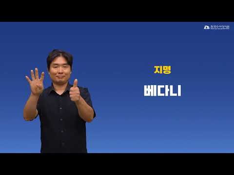 베다니 수어