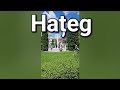 Orașul Hațeg Shorts