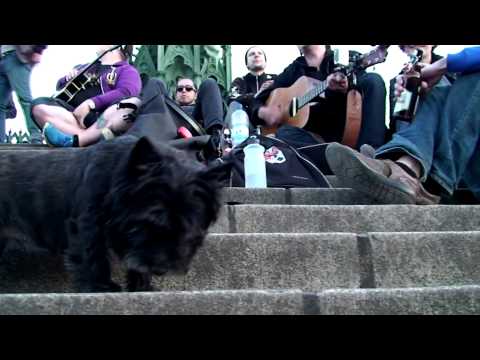 herr binner - who let the dogs out (18052012 kreuzberg)