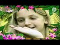 Baby TV The Amazing World Frog In The Swamp