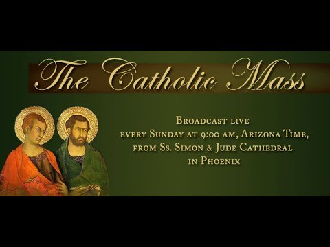 Catholic Mass: Fifteenth Sunday in Ordinary Time, July 13, 2014