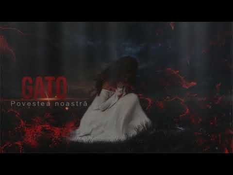 Gato- Povestea Noastra