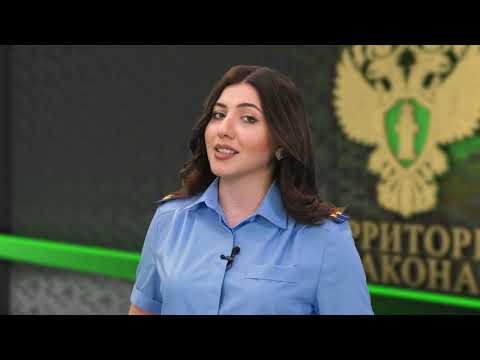 Территория закона / 24.07.2023