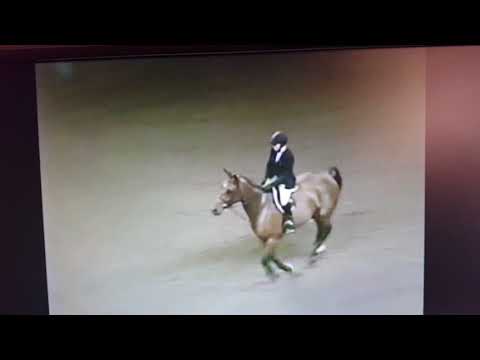 Landmark in the 2002 Medal Finals Harrisburg