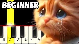 Download lagu Miaw Miaw Miaw Tiktok Sad Cat Song - Fast and Slow (Easy) Piano Tutorial - Beginner mp3 Download lagu Miaw Miaw Miaw Tiktok Sad Cat Song - Fast and Slow (Easy) Piano Tutorial - Beginner mp3
