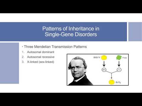Lecture 15:  Molecular Detection of Inherited Disease